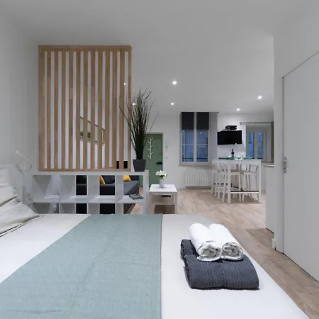 ※perrier Fraise※ Coeur De ⁕ Appt D'exception Clermont-Ferrand