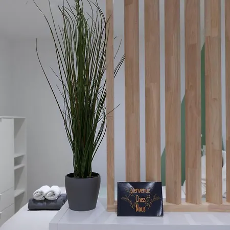 ※perrier Fraise※ Coeur De ⁕ Appt D'exception Apartamento Clermont-Ferrand