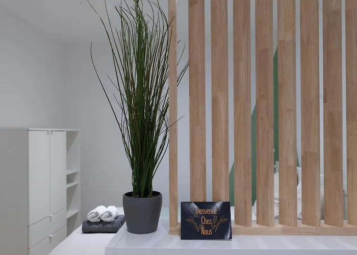 ※perrier Fraise※ Coeur De ⁕ Appt D'exception Apartment Clermont-Ferrand